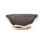 Louis Vuitton Monogram Coated Canvas Bag