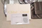 CHLOE Silver Leather Satin Snakeskin Buckle Shoulder Bag