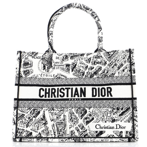 Dior Book Tote Embroidered Canvas Medium