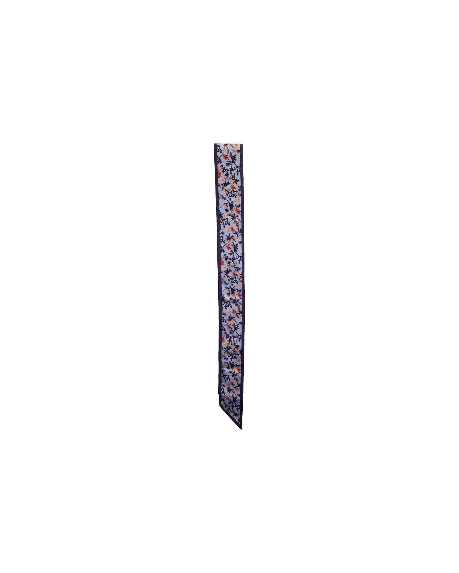 Chloe Floral Printed Scarf in Light Blue Silk