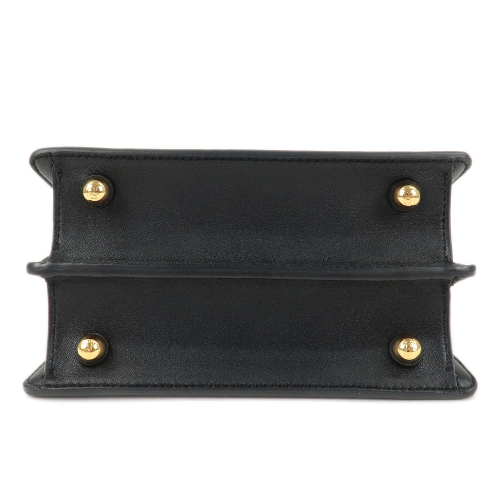 FENDI Peekaboo IseeU Leather 2WAY Hand Shoulder Bag Black 8BN335