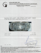 Chloe Alexis Crackled Transpired Resing Bangle Bracelet w/ Box