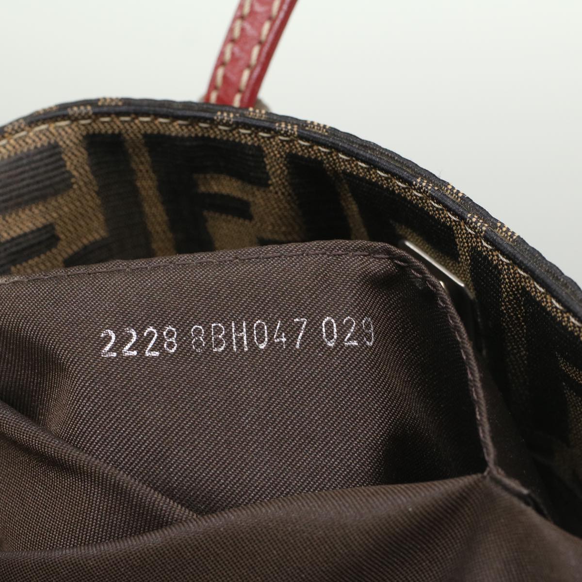 FENDI Zucca Canvas Hand Bag Brown54860