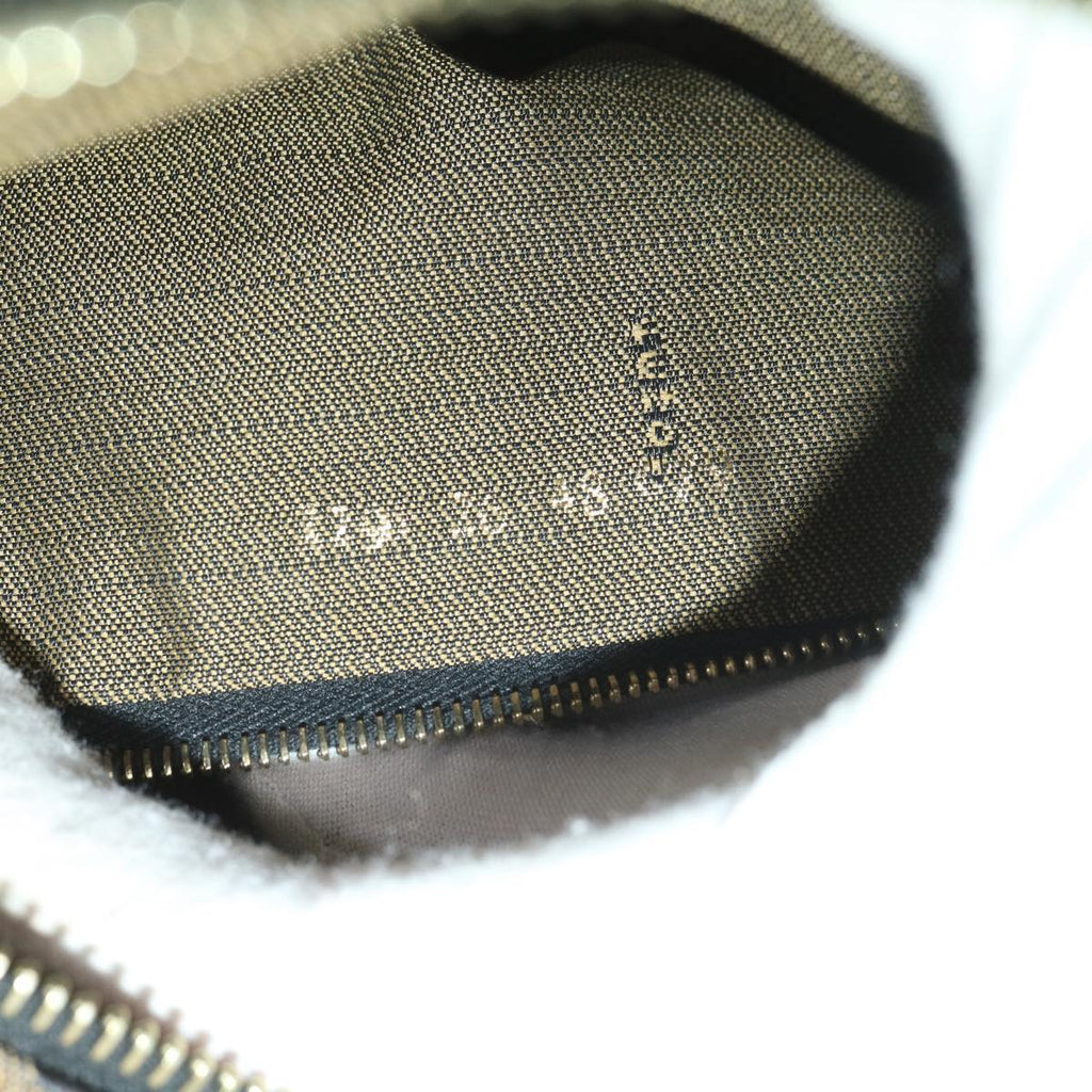 FENDI Zucca Canvas Vanity pouch Hand Bag Nylon Brown Black56583