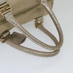 FENDI Zucchino Canvas Hand Bag Silver59329