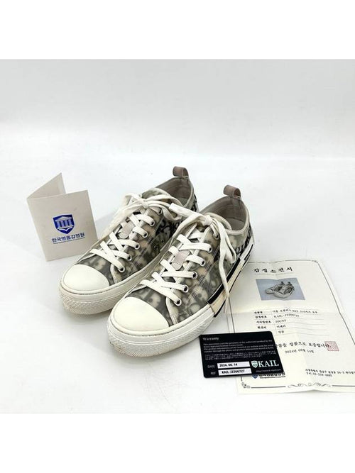 Christian b23 oblique low top sneakers Dior