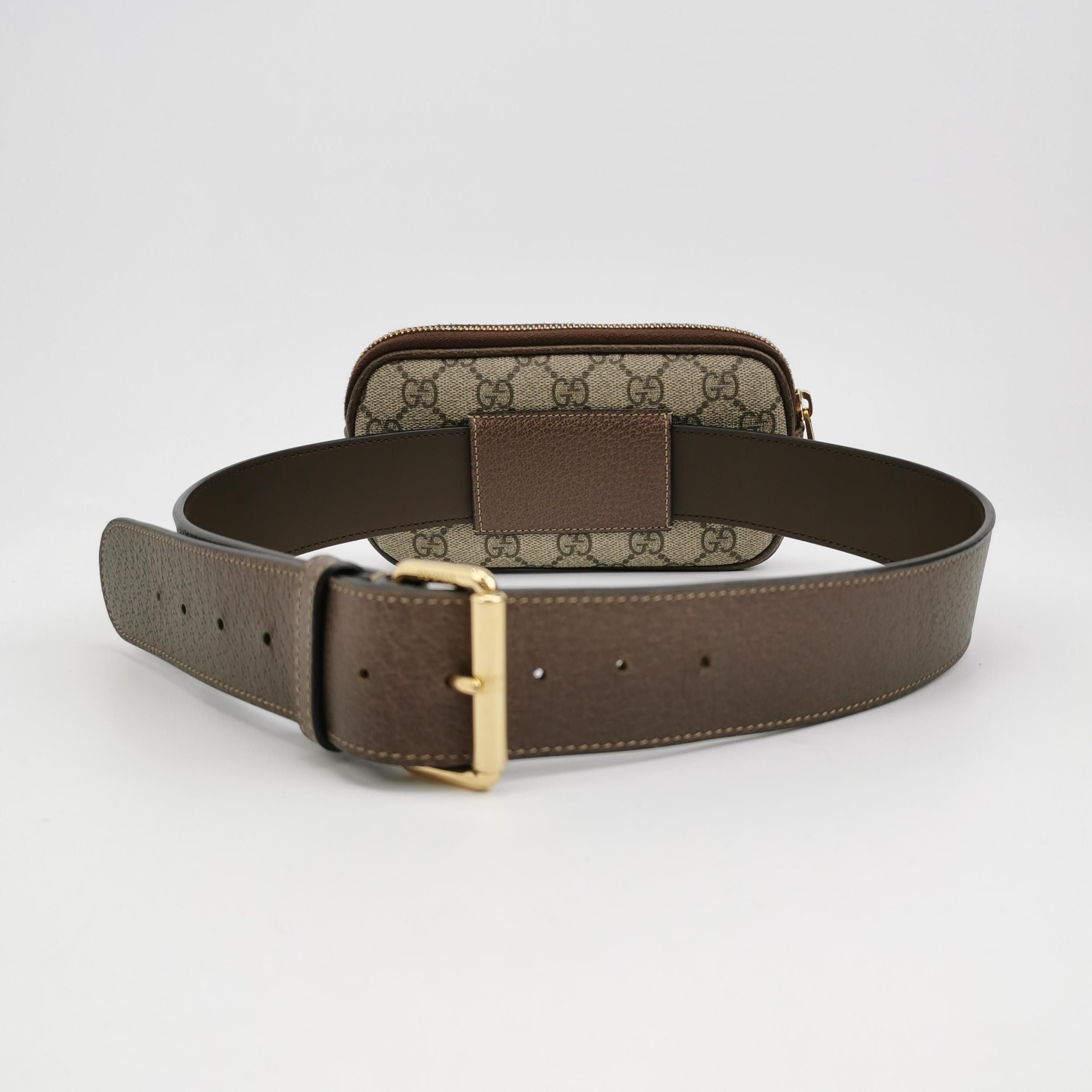 Gucci Ophidia Small Leather Canvas GG Waist Bag Chest Bag 250412781144895