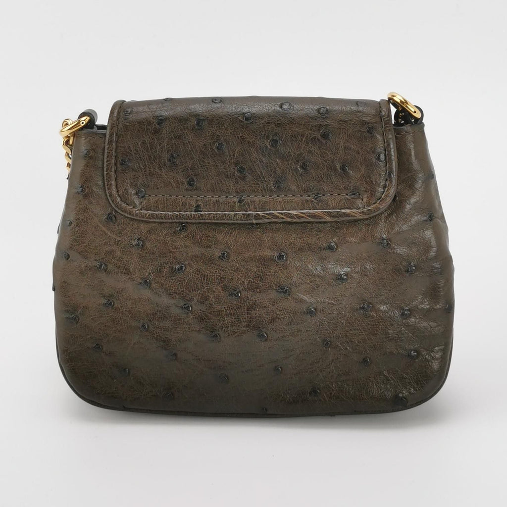 Gucci 1973 Ostrich Leather Shoulder Bag 250411781144089