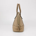 Gucci GG Canvas Zip Crossbody Shoulder Bag 250306781094169