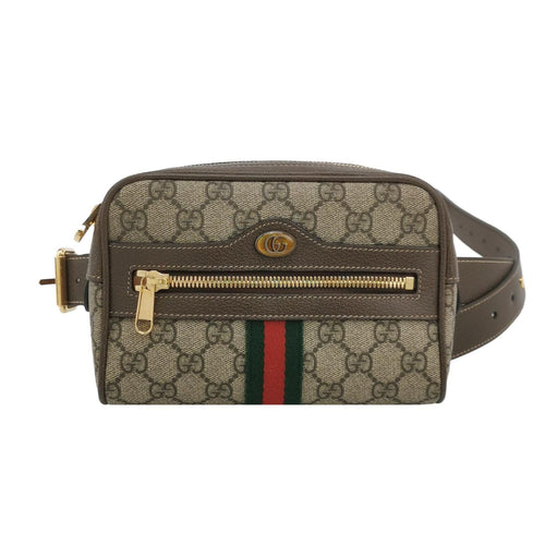 Gucci Ophidia Mini GG Canvas Waist Bag 250301781085850