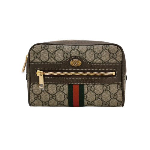Gucci Ophidia Mini GG Canvas Waist Bag 250227781082213