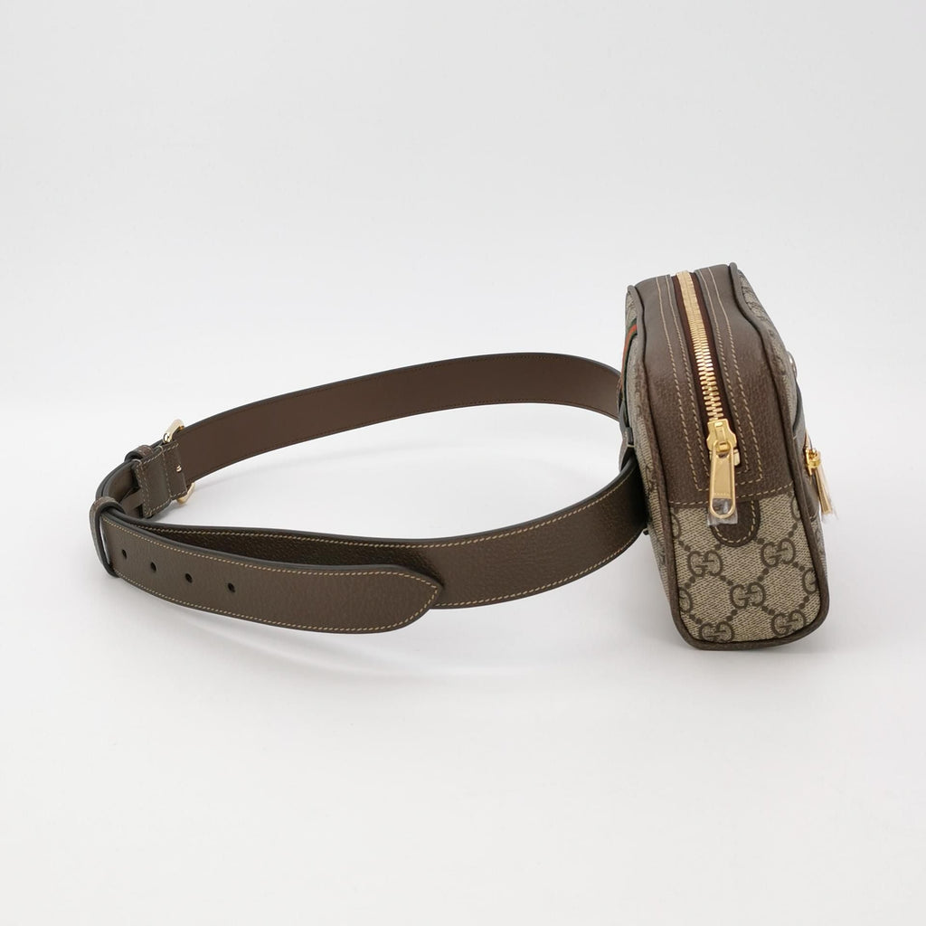 Gucci Ophidia Mini GG Canvas Waist Bag 250227781082213