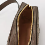 Gucci Ophidia Mini GG Canvas Waist Bag 250227781082213
