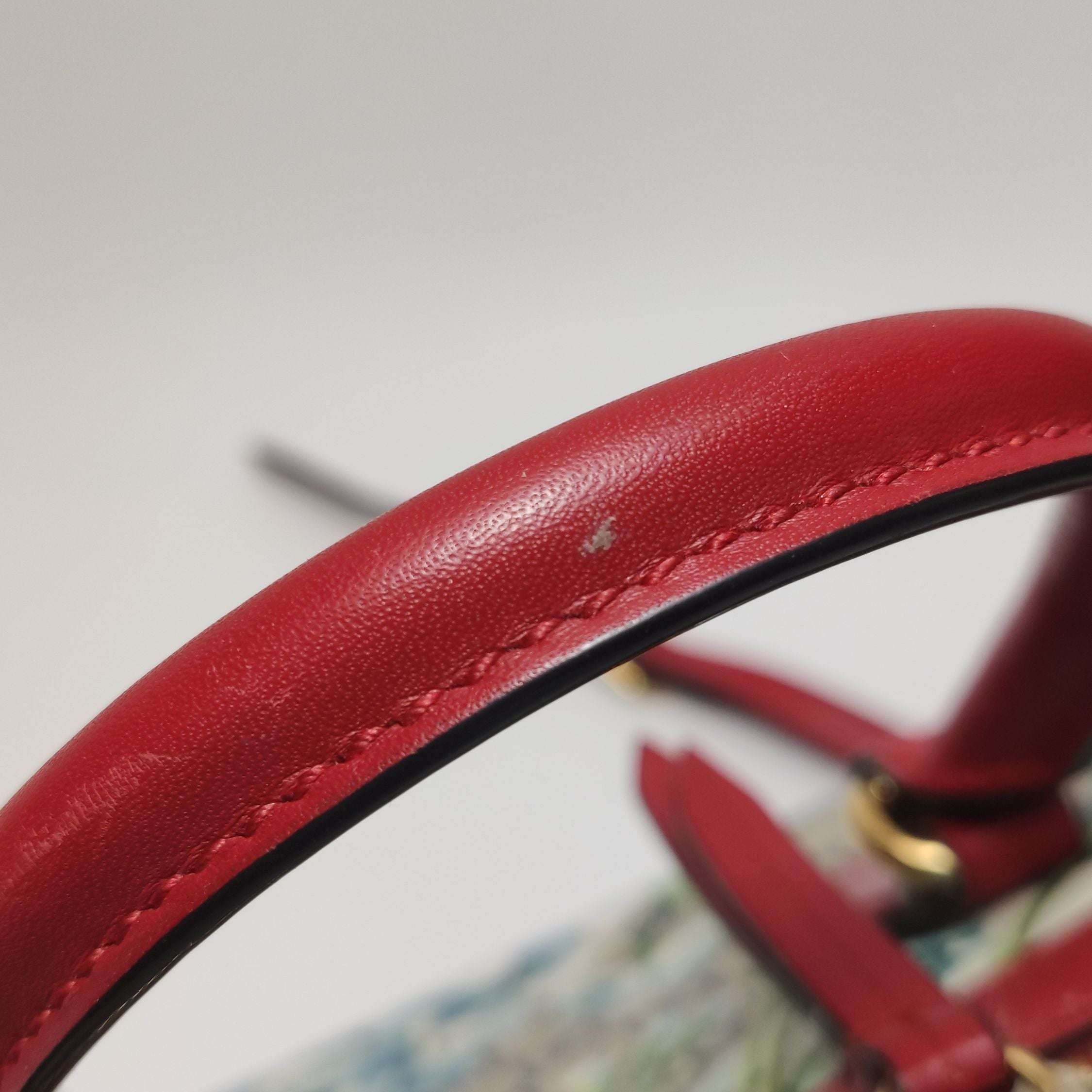 Gucci GG Blooms Leather Double G Monogram Geranium Pattern Crossbody Bag 250512781188687