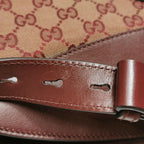 Gucci Arli Leather and Canvas GG Crossbody Bag 250507781182453
