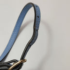 Gucci Swing Leather Logo Shoulder Bag 250529781213111