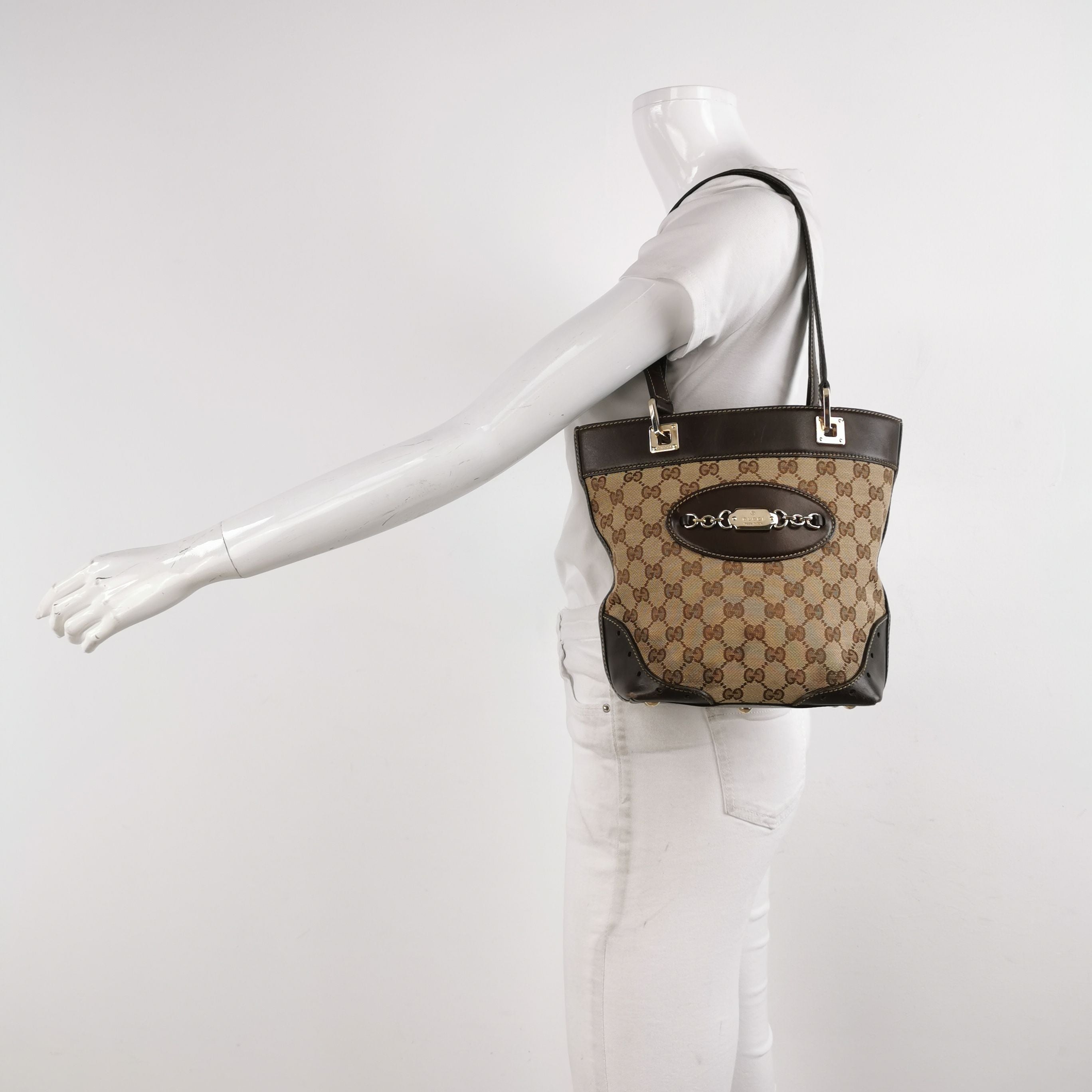 Gucci GG Canvas Shoulder Bag 250608781228069