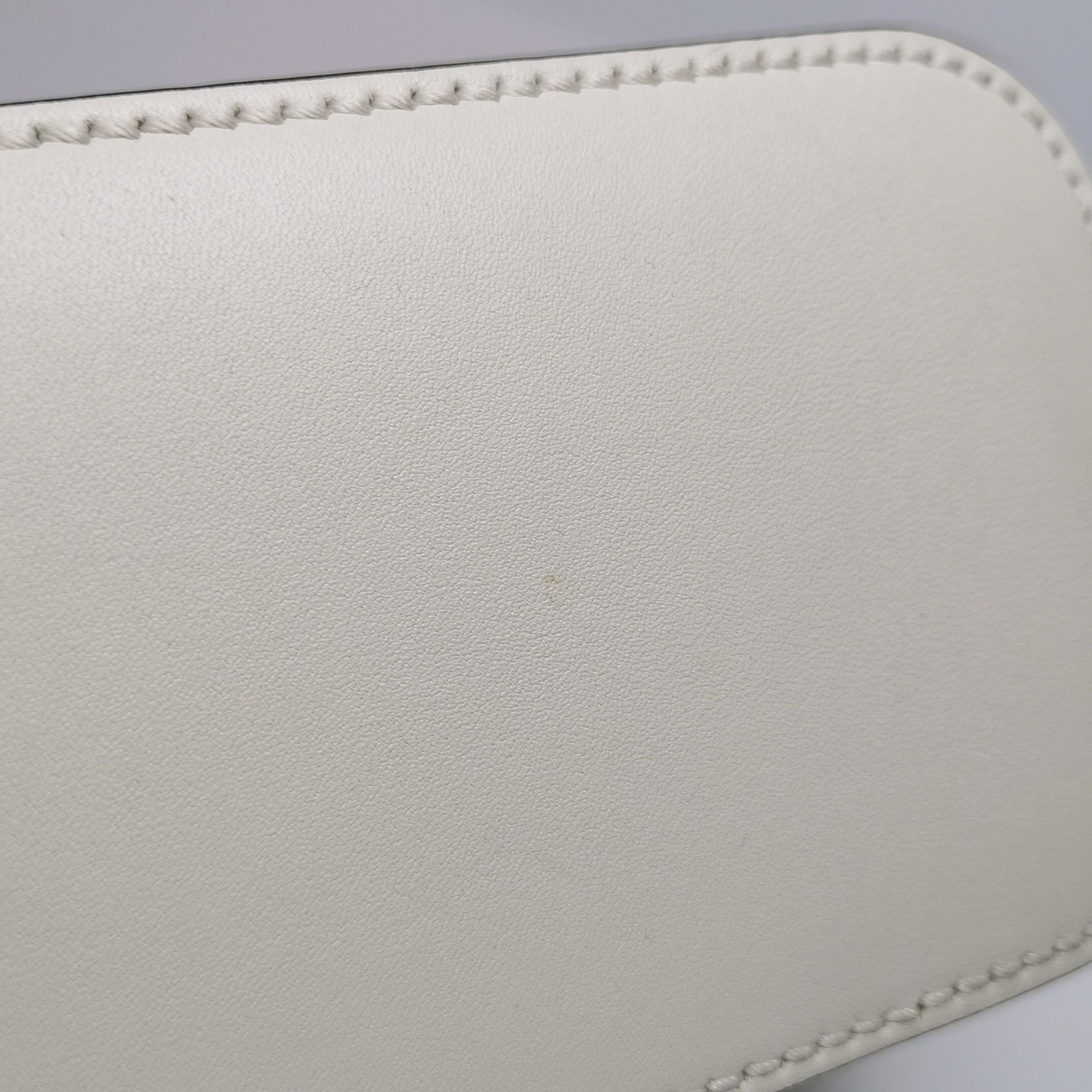 Gucci Guccy Leather Printed Logo Crossbody Bag 24112978964630