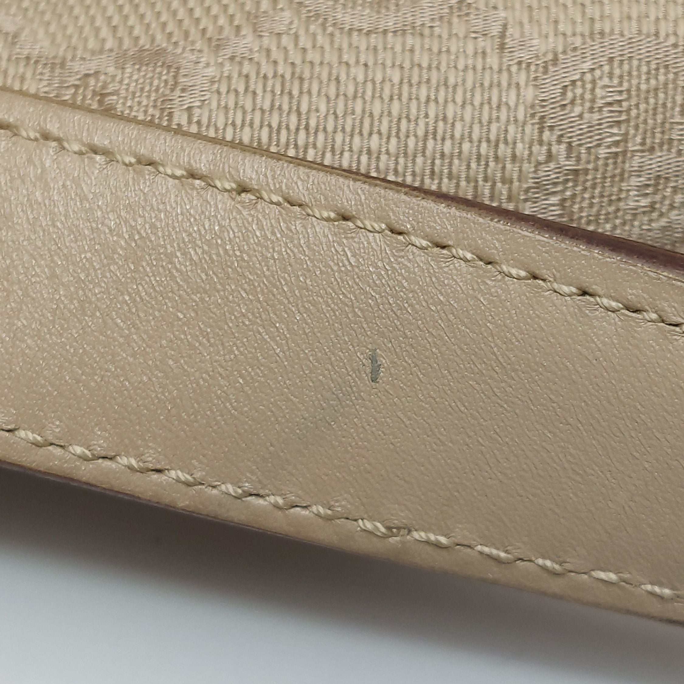 Gucci GG Canvas Shoulder Bag 250702781262315