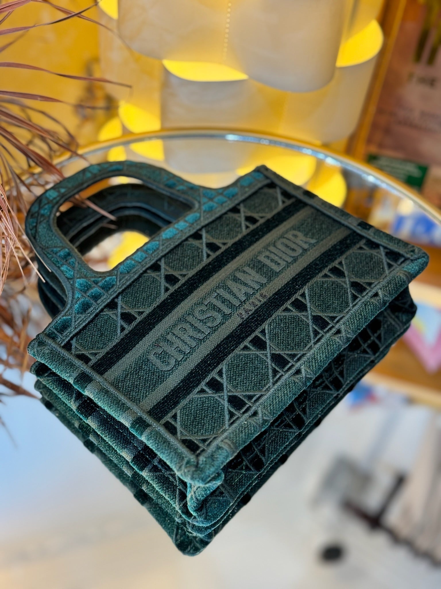 DIOR Mini Book Tote