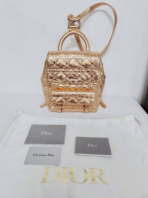 men backpack Dior