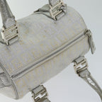 FENDI Zucchino Canvas Hand Bag Silver71836