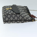 CELINE Triomphe Canvas Shoulder Bag Gray  73617