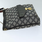 CELINE Triomphe Canvas Shoulder Bag Gray  73617