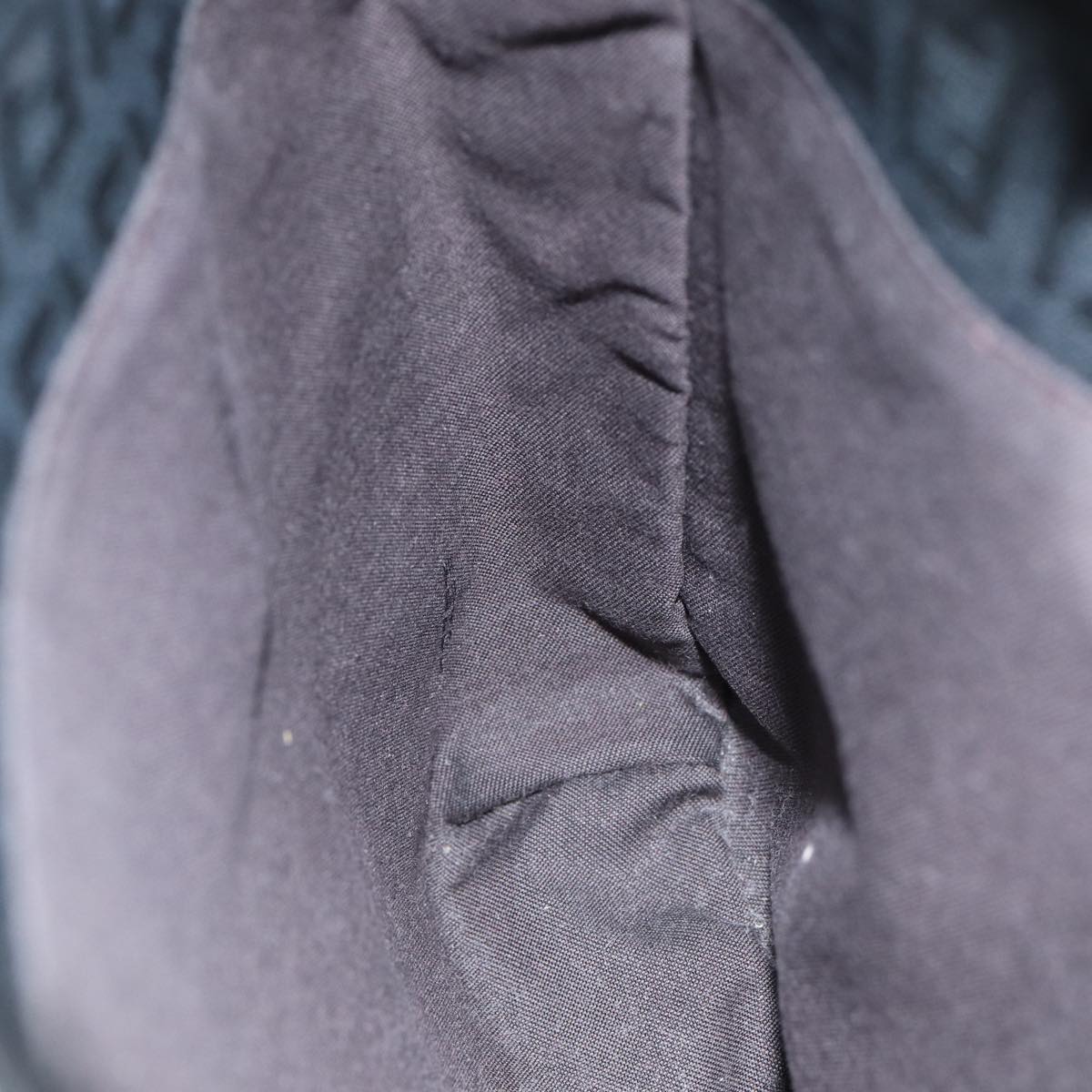 FENDI Zucchino Canvas Hand Bag Black74841