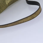 FENDI Mamma Baguette Shoulder Bag Canvas Gold Tone 4088361374891A