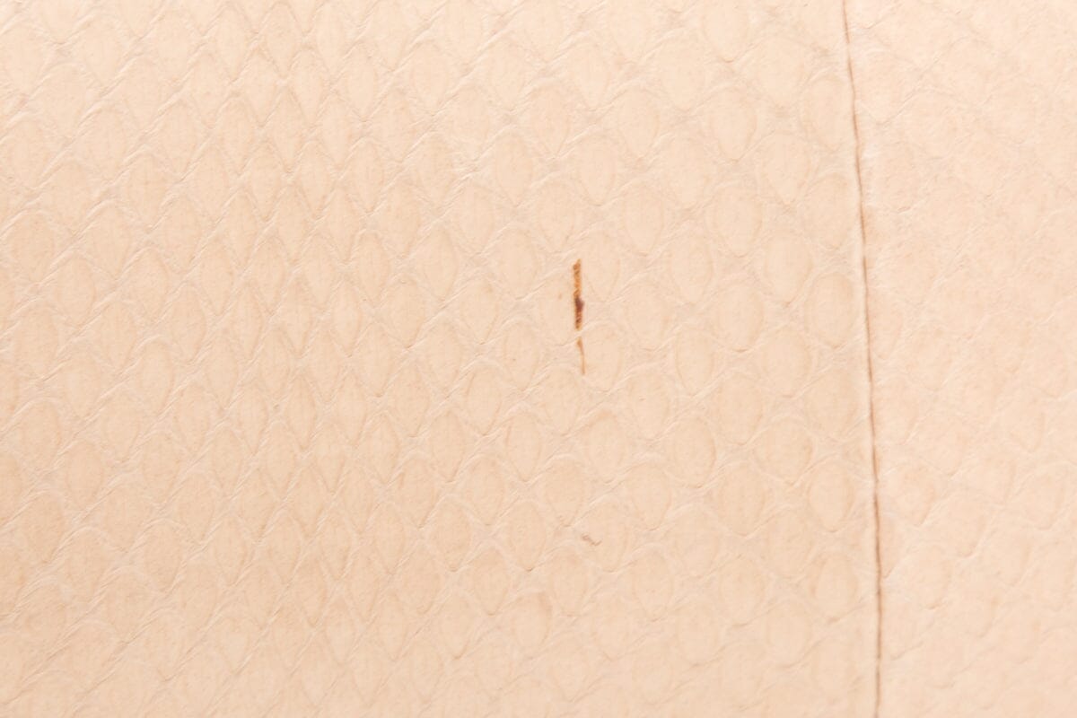 Fendi Beige Peekaboo Snake Skin Bag