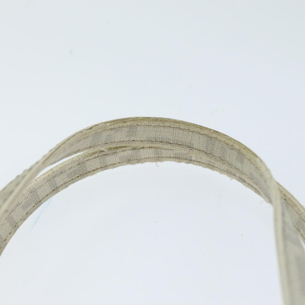 FENDI Zucchino Canvas Hand Bag White75224