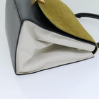 CELINE Trapeze Hand Bag Suede Leather 2way Black Khaki  76216