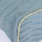 FENDI Tote Bag Canvas Light Blue 12429077643
