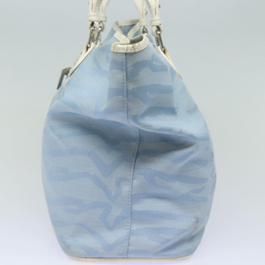 FENDI Tote Bag Canvas Light Blue 12429077643