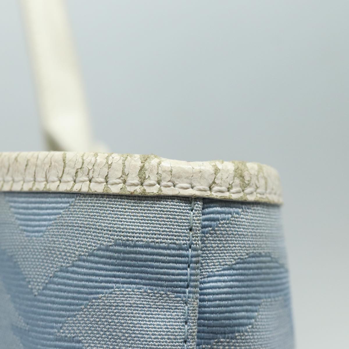 FENDI Tote Bag Canvas Light Blue 12429077643