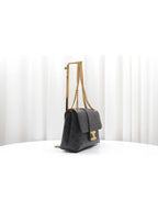 CELINE Triope Victoire Bag Medium Chain Shoulder 115852FRH 04LU