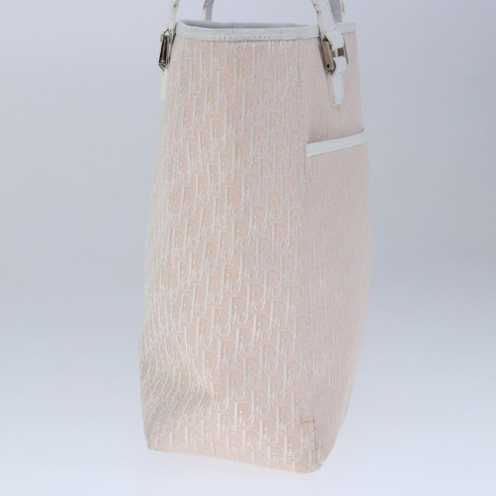 Dior Trotter  Canvas Tote Bag (Pre-Owned)