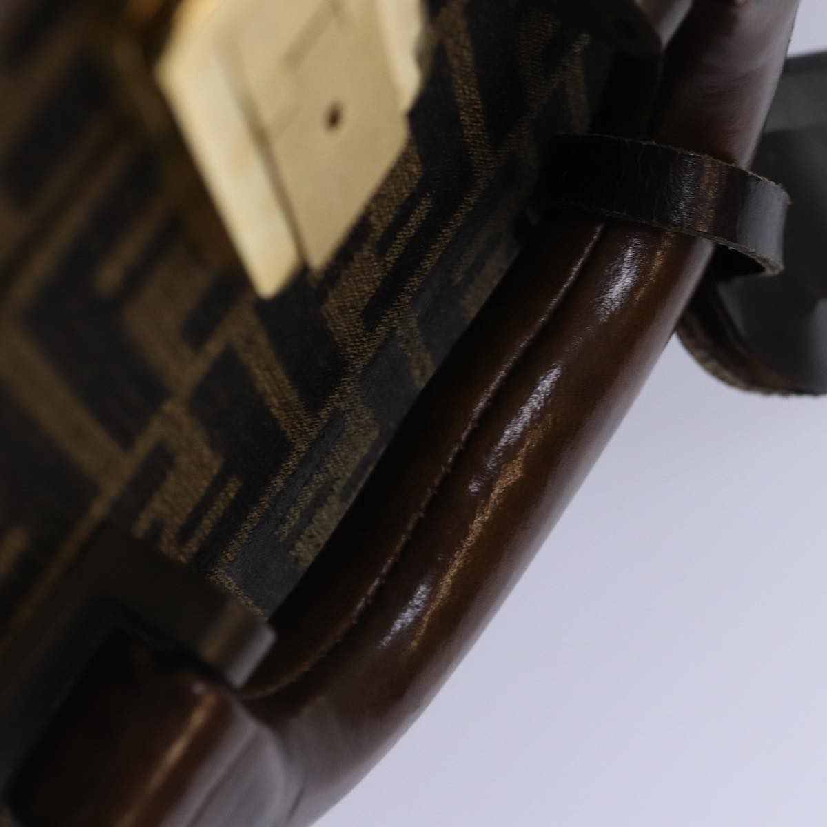 FENDI Zucca Canvas Trunk Brown86274