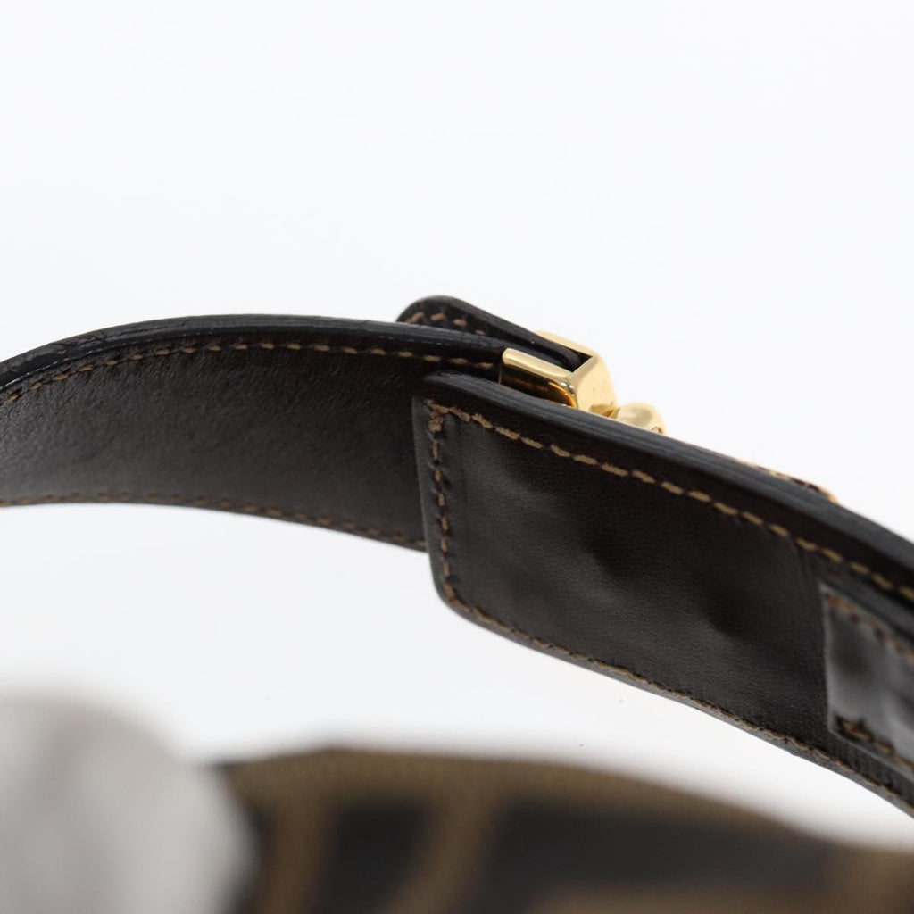 FENDI Zucca Canvas Hand Bag Brown Black gold88079