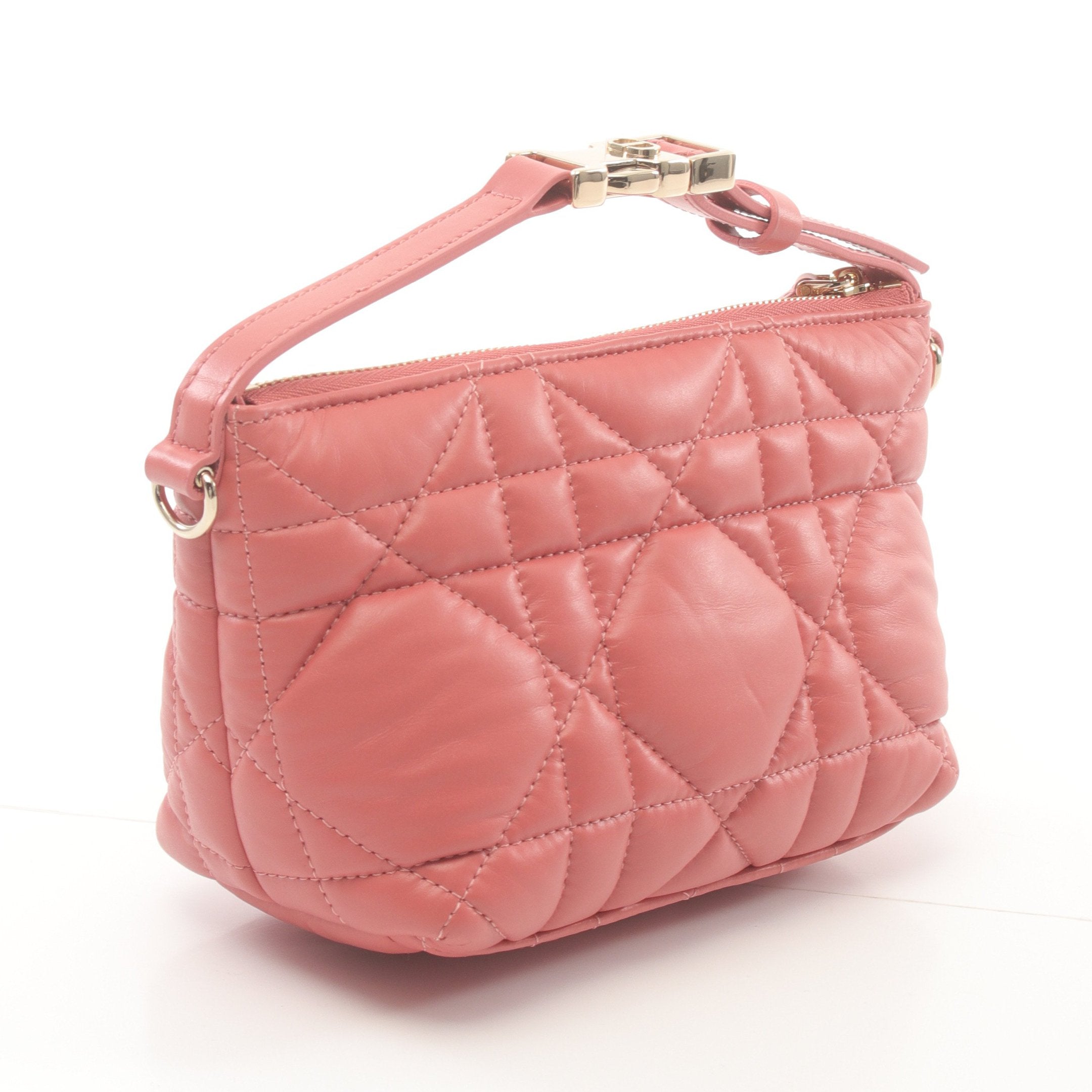 Dior Dior Travel Nomad pouch Small Handbag Leather Pink