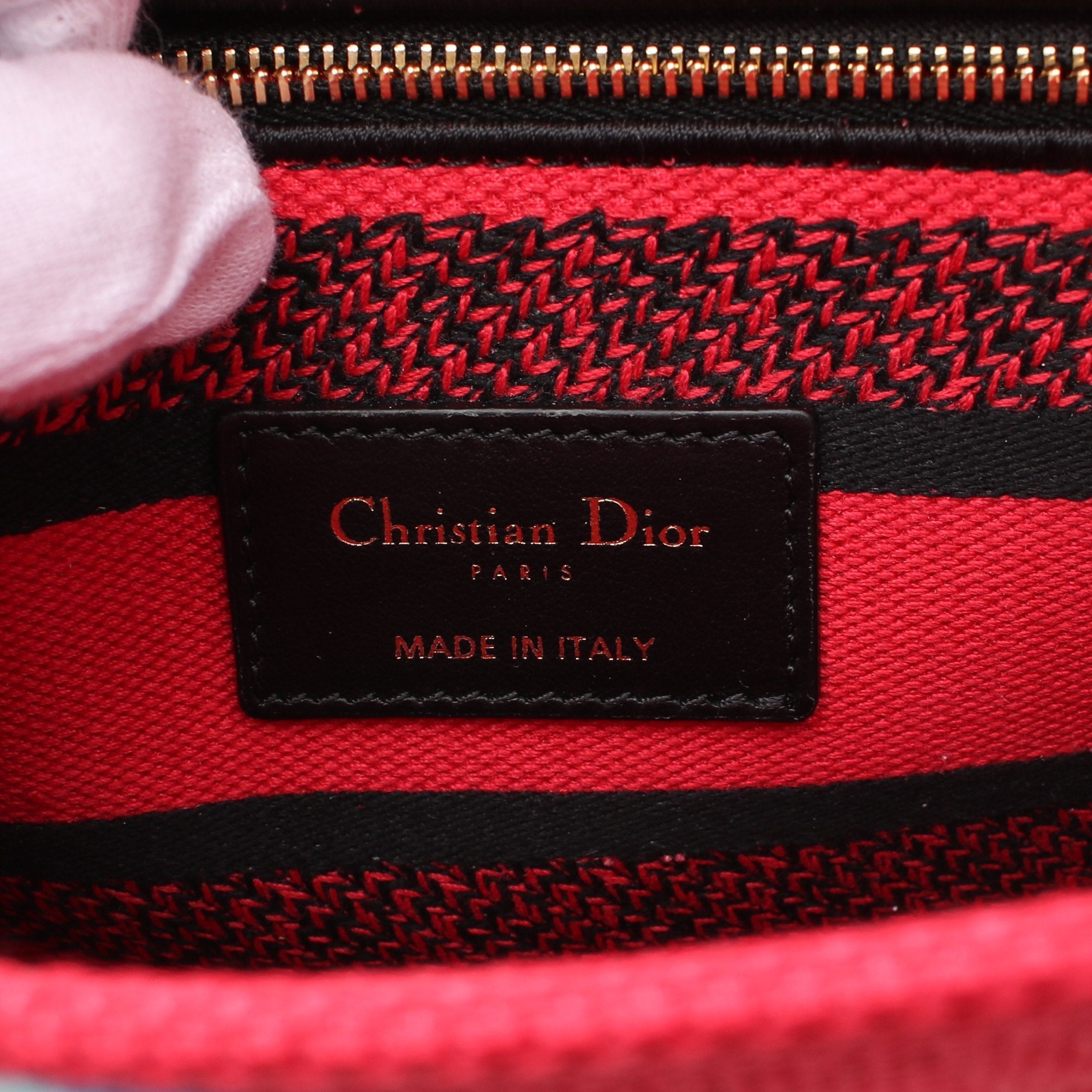 Dior Lady dior Handbag Canvas Pink red Multicolor 2WAY