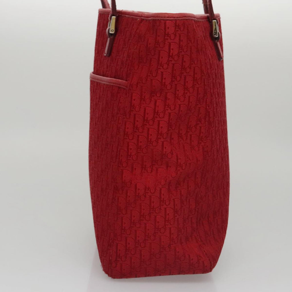 Dior Trotter  Canvas Tote Bag (Pre-Owned)