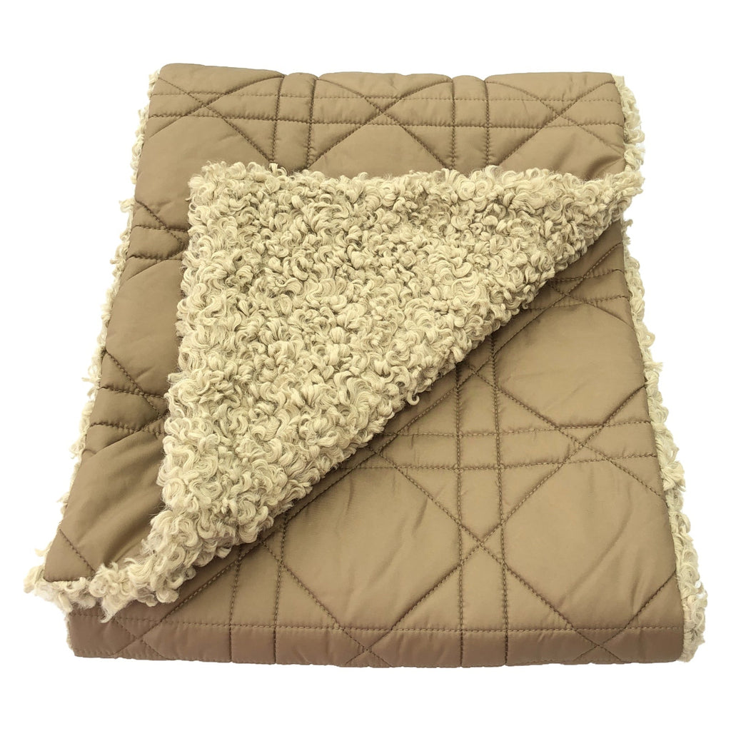 Dior Reversible scarf Scarf Beige