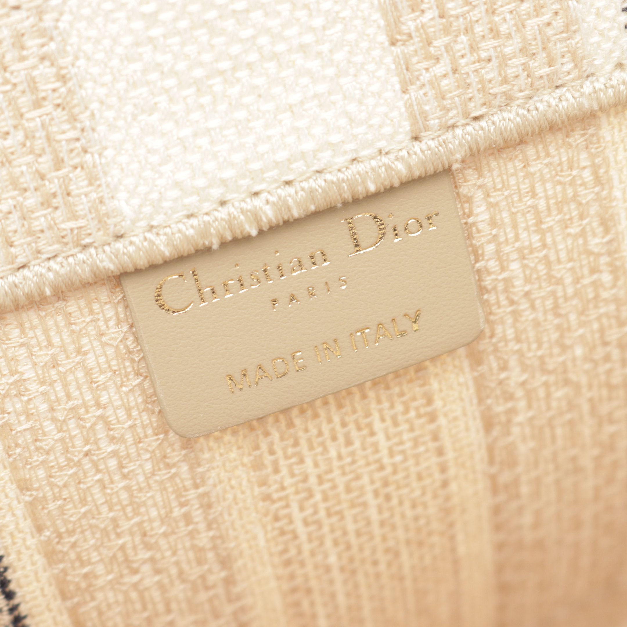 Dior BOOK TOTE Book tote Large Handbag Tote bag Canvas Beige Multicolor
