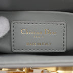 Dior 30 Montaigne Shoulder bag Leather Gray