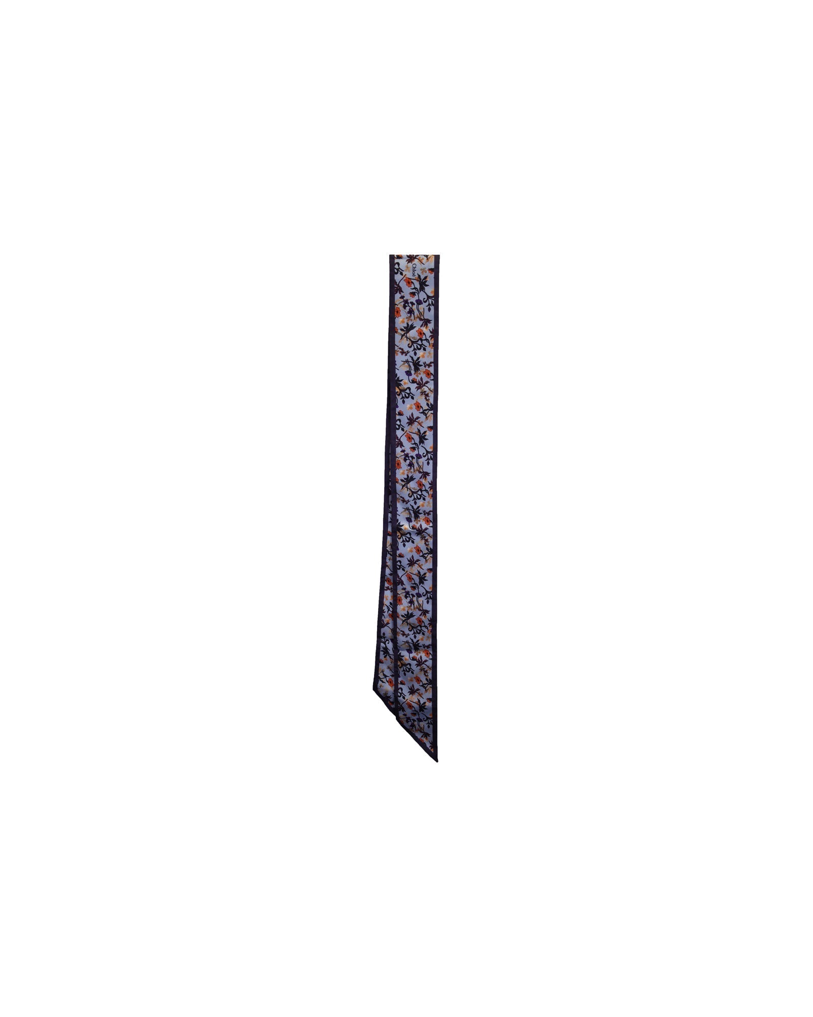 Chloe Floral Printed Scarf in Light Blue Silk