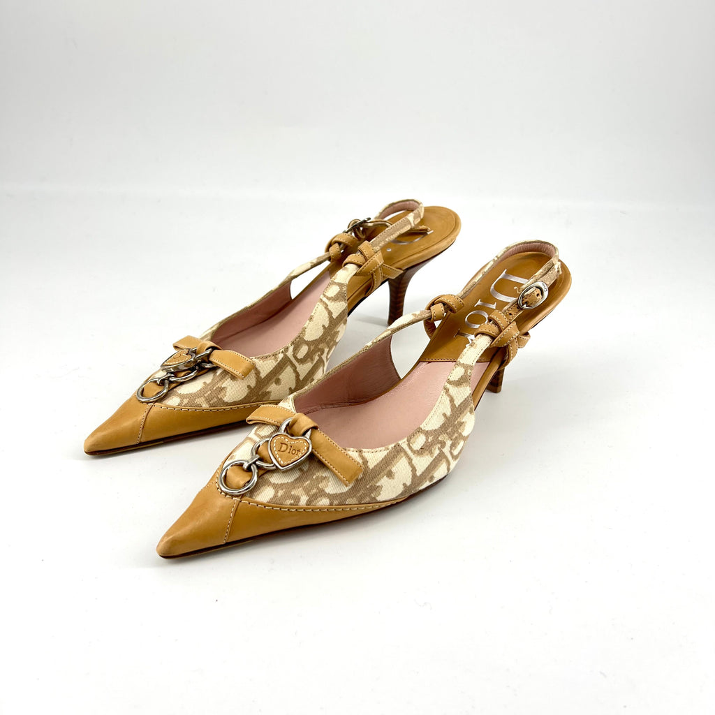 Dior monogram high heels