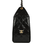 Chanel Small 25 Hobo Bag Black Shiny Crumpled Calfskin Mixed Metal Hardware
