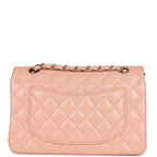 Chanel Small Classic Double Flap Light Pink Lambskin Gold Hardware